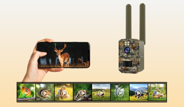 Охотничья камера на солнечной батарее